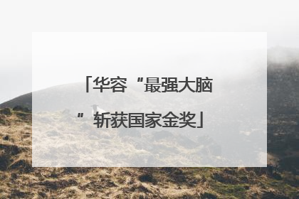 华容“最强大脑”斩获国家金奖