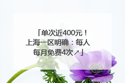 单次近400元！上海一区明确：每人每月免费4次↗