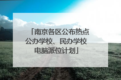 南京各区公布热点公办学校、民办学校电脑派位计划