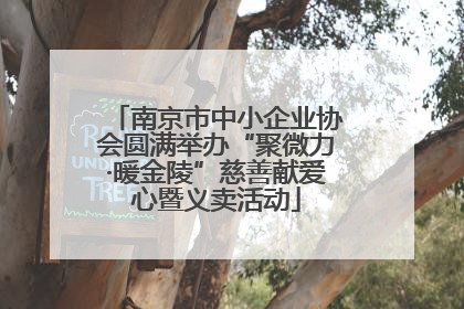 南京市中小企业协会圆满举办“聚微力·暖金陵”慈善献爱心暨义卖活动