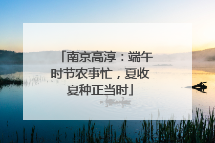 南京高淳：端午时节农事忙，夏收夏种正当时