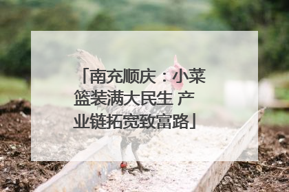 南充顺庆：小菜篮装满大民生 产业链拓宽致富路