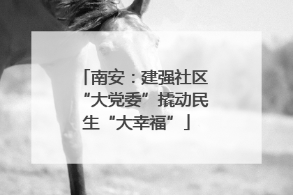 南安：建强社区“大党委”撬动民生“大幸福”