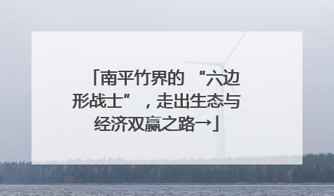 南平竹界的 “六边形战士”，走出生态与经济双赢之路→
