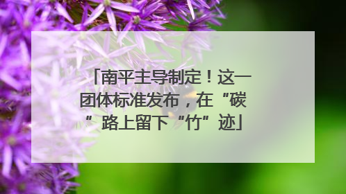 南平主导制定！这一团体标准发布，在“碳”路上留下“竹”迹