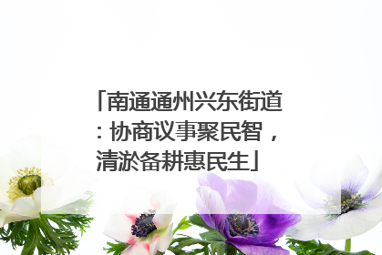 南通通州兴东街道：协商议事聚民智，清淤备耕惠民生