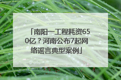 南阳一工程耗资650亿？河南公布7起网络谣言典型案例