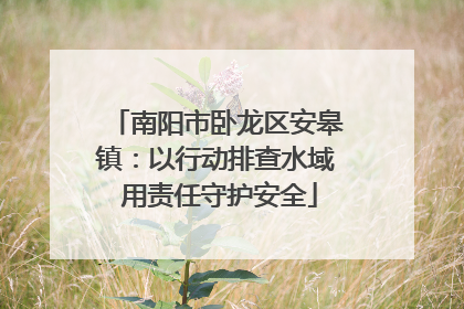 南阳市卧龙区安皋镇：以行动排查水域 用责任守护安全