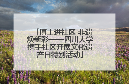 博士进社区 非遗焕新彩——四川大学携手社区开展文化遗产日特别活动