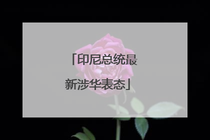 印尼总统最新涉华表态