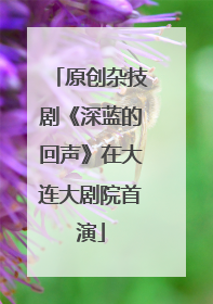 原创杂技剧《深蓝的回声》在大连大剧院首演