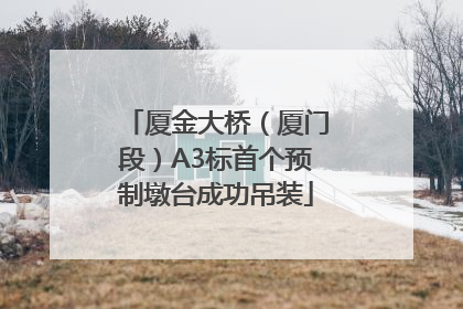 厦金大桥（厦门段）A3标首个预制墩台成功吊装