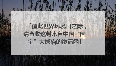 值此世界环境日之际，请查收这封来自中国“国宝”大熊猫的邀请函