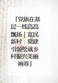 党旗在基层一线高高飘扬｜富民新村：党建引领绘就乡村振兴美丽画卷