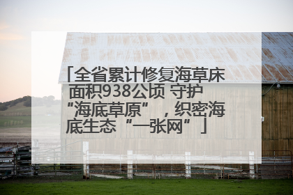 全省累计修复海草床面积938公顷 守护“海底草原”，织密海底生态“一张网”
