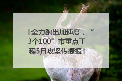 全力跑出加速度，“3个100”市重点工程5月攻坚传捷报