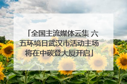 全国主流媒体云集 六五环境日武汉市活动主场将在中碳登大厦开启
