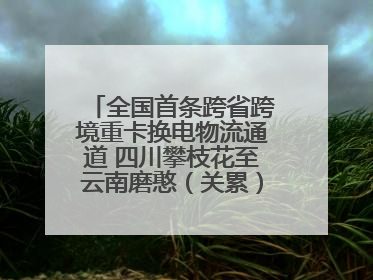 全国首条跨省跨境重卡换电物流通道 四川攀枝花至云南磨憨（关累）换电干线启动