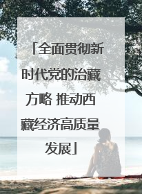 全面贯彻新时代党的治藏方略 推动西藏经济高质量发展