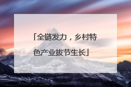 全链发力，乡村特色产业拔节生长