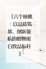 六个核桃：以品质筑基、创新领航的植物蛋白饮品标杆