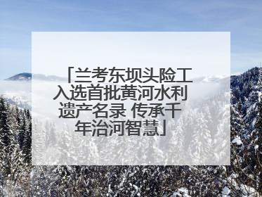 兰考东坝头险工入选首批黄河水利遗产名录 传承千年治河智慧