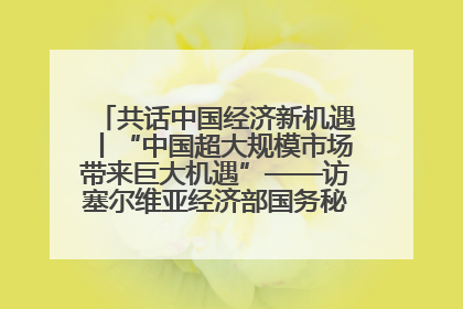 共话中国经济新机遇丨“中国超大规模市场带来巨大机遇”——访塞尔维亚经济部国务秘书尼科利奇