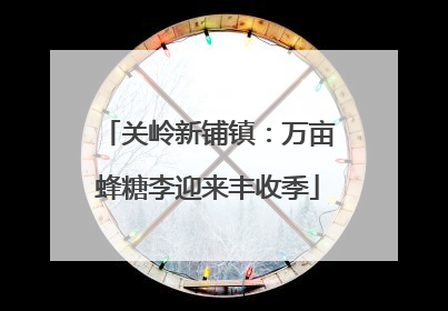 关岭新铺镇：万亩蜂糖李迎来丰收季