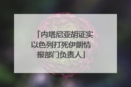 内塔尼亚胡证实以色列打死伊朗情报部门负责人