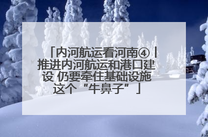 内河航运看河南④丨推进内河航运和港口建设 仍要牵住基础设施这个“牛鼻子”