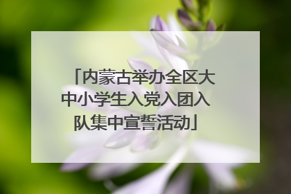 内蒙古举办全区大中小学生入党入团入队集中宣誓活动