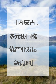 内蒙古：多元协同构筑产业发展新高地