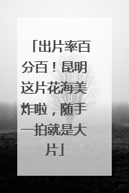 出片率百分百！昆明这片花海美炸啦，随手一拍就是大片