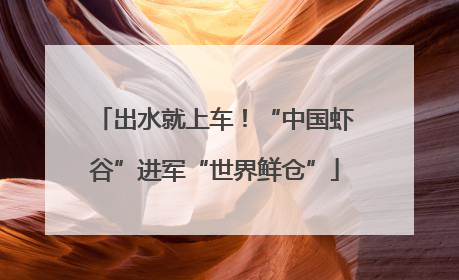出水就上车！“中国虾谷”进军“世界鲜仓”