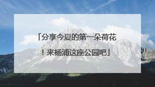 分享今夏的第一朵荷花！来杨浦这座公园吧