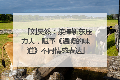 刘昊然：接棒靳东压力大，赋予《温暖的味道》不同情感表达
