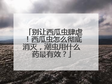 别让西瓜虫肆虐！西瓜虫怎么彻底消灭，潮虫用什么药最有效？