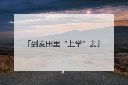 到麦田里“上学”去