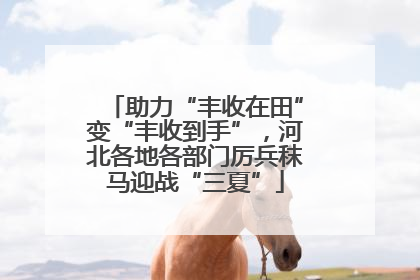 助力“丰收在田”变“丰收到手”，河北各地各部门厉兵秣马迎战“三夏”