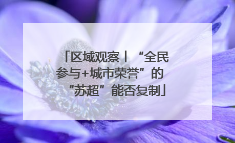 区域观察丨“全民参与+城市荣誉”的“苏超”能否复制