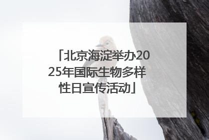 北京海淀举办2025年国际生物多样性日宣传活动