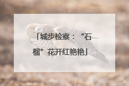 城步检察：“石榴”花开红艳艳