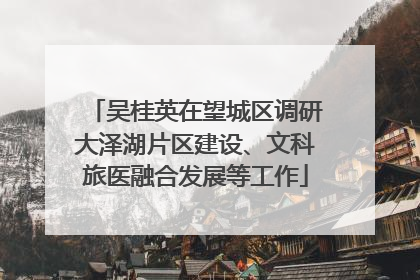 吴桂英在望城区调研大泽湖片区建设、文科旅医融合发展等工作