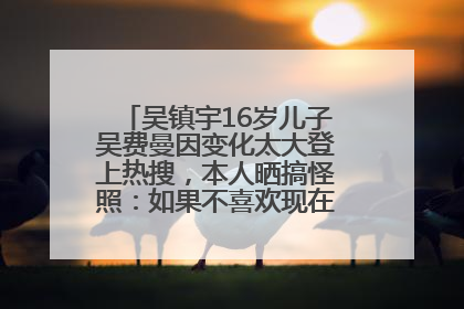 吴镇宇16岁儿子吴费曼因变化太大登上热搜，本人晒搞怪照：如果不喜欢现在的我可以离开