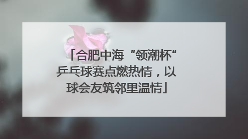 合肥中海“领潮杯”乒乓球赛点燃热情，以球会友筑邻里温情