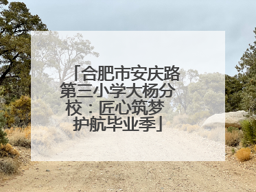 合肥市安庆路第三小学大杨分校：匠心筑梦 护航毕业季