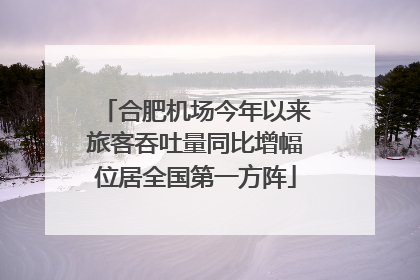 合肥机场今年以来旅客吞吐量同比增幅位居全国第一方阵