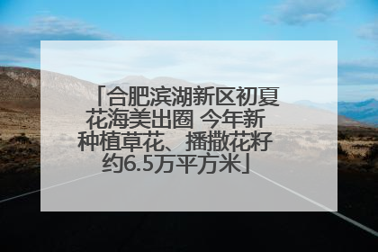 合肥滨湖新区初夏花海美出圈 今年新种植草花、播撒花籽约6.5万平方米