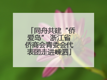 同舟共建“侨爱岛” 浙江省侨商会青委会代表团走进嵊泗