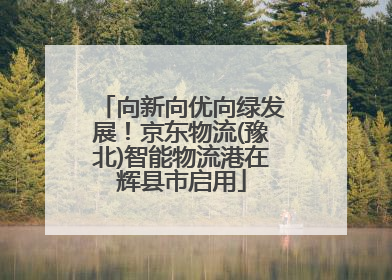 向新向优向绿发展！京东物流(豫北)智能物流港在辉县市启用